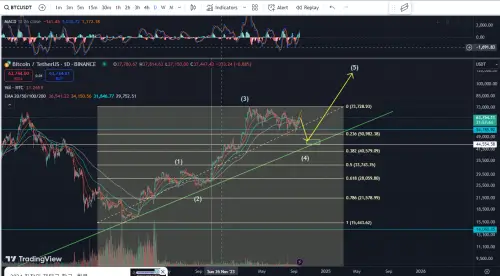 출처-트레이딩뷰-비트코인차트